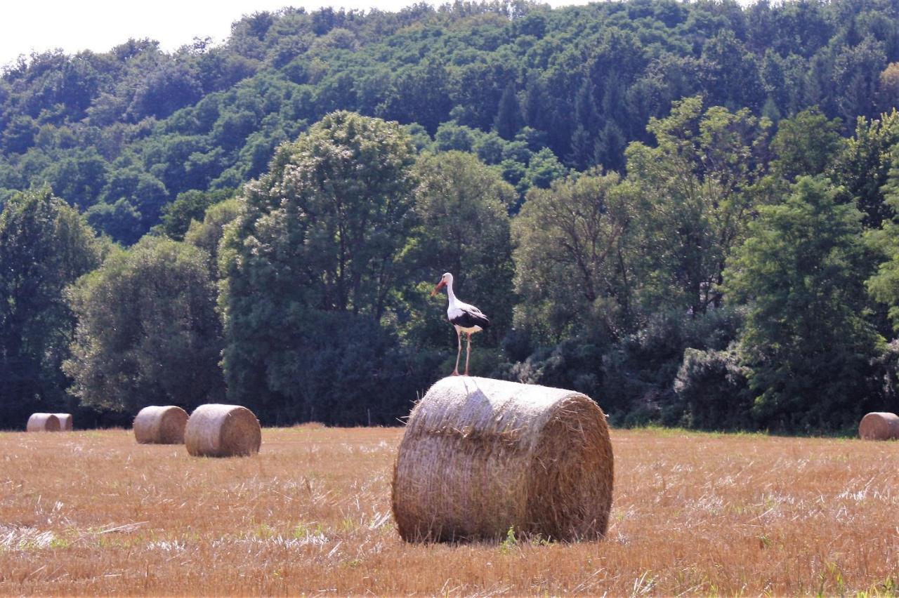 Naturpark Vendeghaz Alsoszolnok المظهر الخارجي الصورة